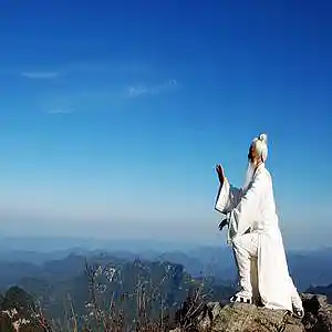 Picture for song 'Kung Fu & Tai Chi' by artist 'Kamileon'