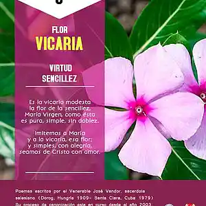 Picture for song 'Dia 3-Flor Vicaria' by artist 'Producciones Vandor'