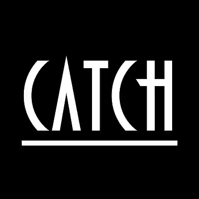 Picture for song 'Catch' by artist 'Reflexion X'