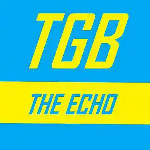 Picture for song 'The echo' by artist 'Tetris goes backwards'