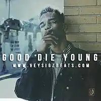 Picture for song '..:: GOOD DIE YOUNG ::.. (FreeDL!)' by artist 'VEYSIGZ BEATS'