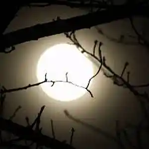 Picture for song 'Callin(Prod.whoDeany)' by artist 'whoDeanyBeatz'