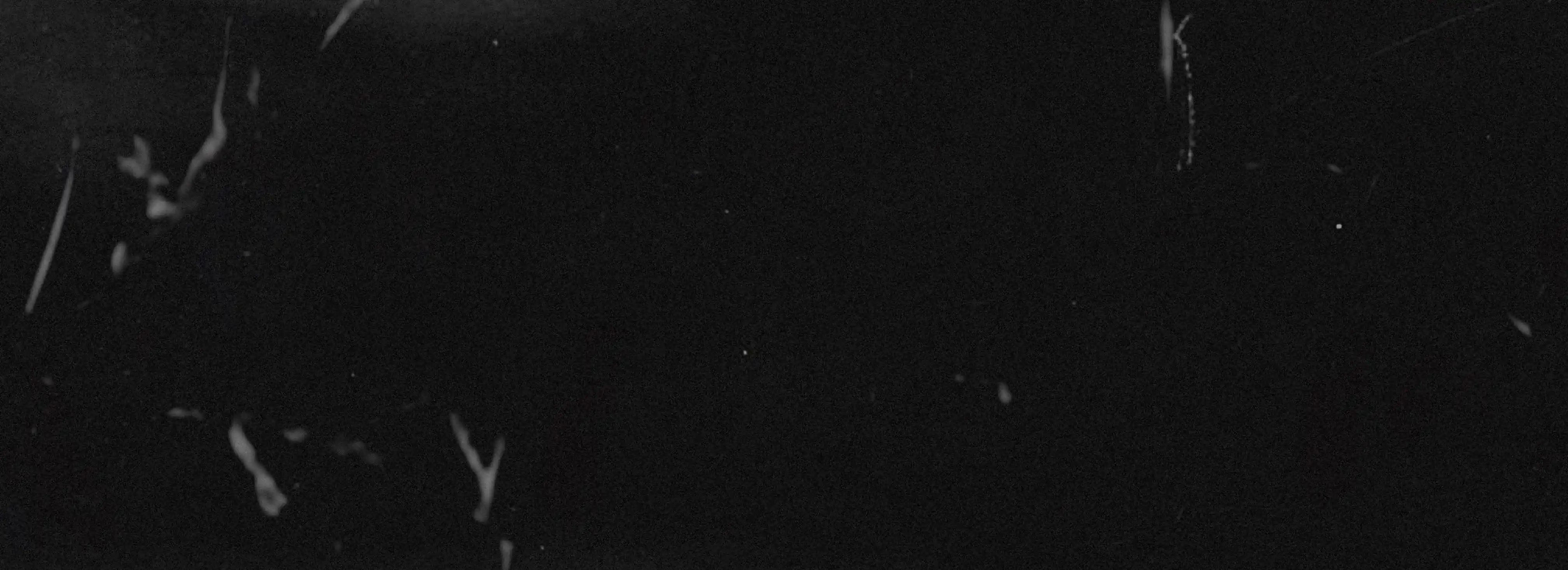 cover pic