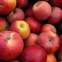 Picture for song 'hidden agenda' by artist 'Antonklinkt'