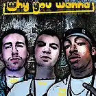 Picture for song 'Why You Wanna Ft. Verbz & Fowl Mouf' by artist 'Dee Eagle (new)'