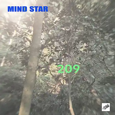 Picture for song 'Mind Star 209' by artist 'Eizi Hirahara'