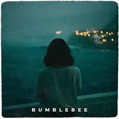 Picture for song 'Bumblebee' by artist 'Erawy'