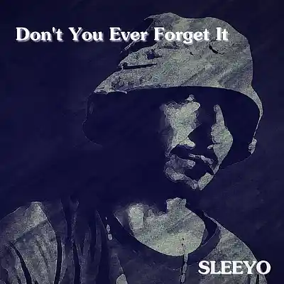 Picture for song 'DON'T YOU EVER FORGET IT' by artist 'sleeyo'