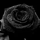 Picture for song 'example259.70' by artist 'SockaProductions'