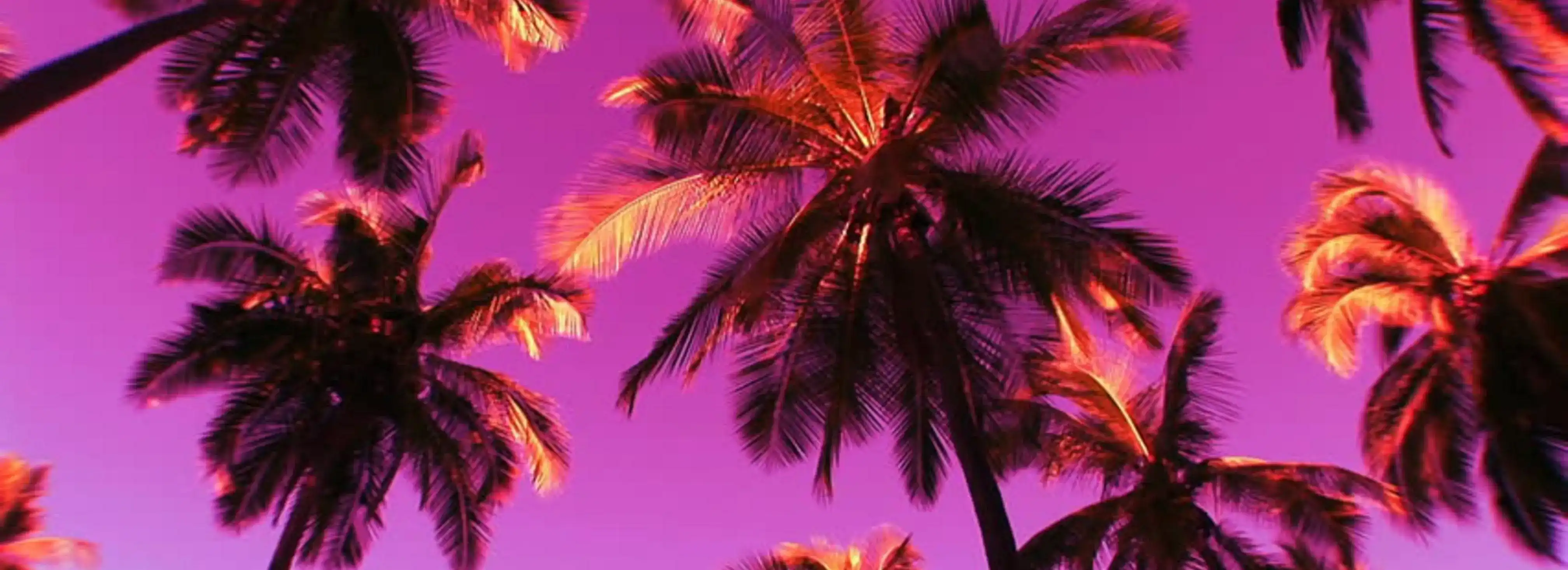 cover pic