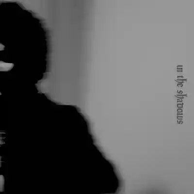 Picture for song 'In the Shadows' by artist 'Andy Leopoli'