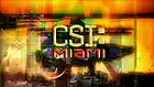 Picture for song 'CSI MIAMI TV MUSIC' by artist 'BizzyBoyBeatz'