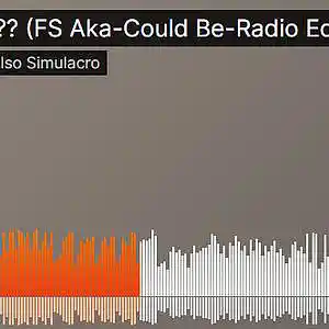 Picture for song '??? (FS Aka-Could Be-Radio Edit)' by artist 'Falso Simulacro'