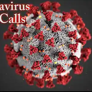 Picture for song 'Coronavirus Part 1' by artist 'JoshPranks'