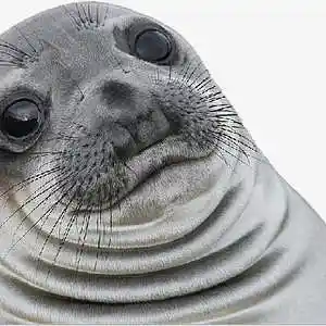 Picture for song 'BRAIN DEAD (BUY 1 GET 4 FREE)' by artist 'LONDONAVE'