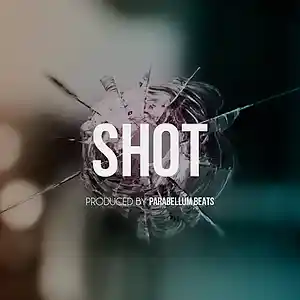 Picture for song 'Shot' by artist 'Parabellum Beats'