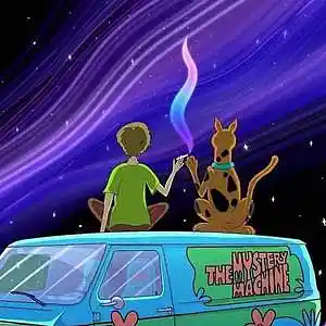 Picture for song 'World Tour' by artist 'The Wave Beats'