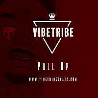 Picture for song '*NEW* Pull Up (BUY 1 GET 1 FREE!)' by artist 'VibeTribeBeatz'