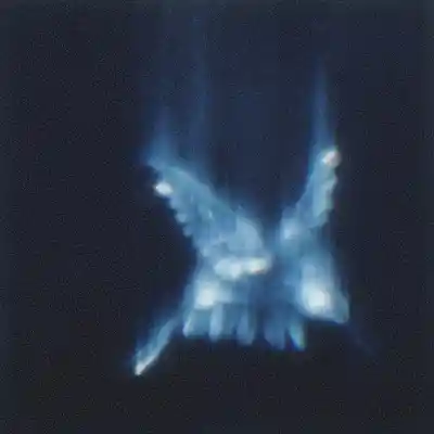 Picture for song 'Vacío' by artist '017'