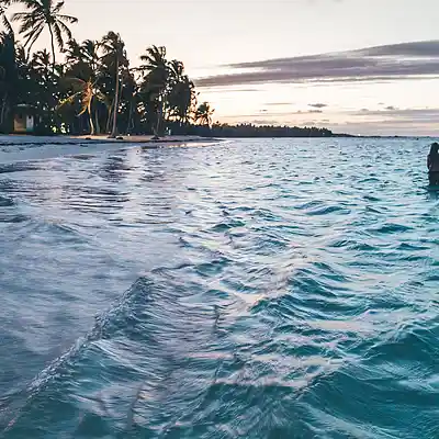 Picture for song 'Dancehall Type Beat - Caribbean Melodic Vibes' by artist 'Boomism Beats'