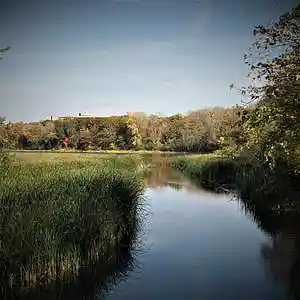 Picture for song 'Where Is the River Running Too' by artist 'Doug Murphy'