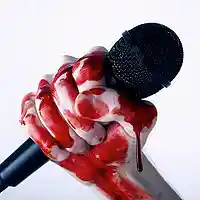 Picture for song 'Lyrical Murderers feat. MC Flash' by artist 'Envs'