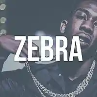 Picture for song 'Zebra ..::GANGSTA::.. ' by artist 'HEATONDABEAT'
