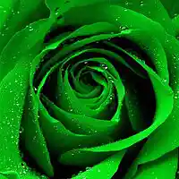 Picture for song 'Always Here' by artist 'Plaza7'