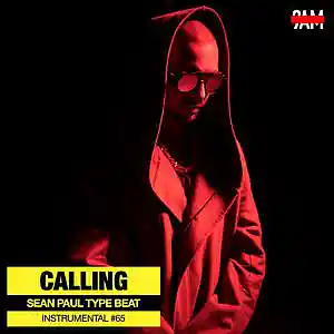 Picture for song 'Calling - Sean Paul Type Beat' by artist 'Prod. by 9AM'