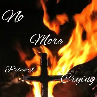 Picture for song 'No_More_Crying_Proword' by artist 'Proword'