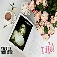Picture for song 'LIFE!' by artist 'S.W.A.D.E. (THE ONE AND ONLY)'