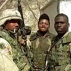 Picture for song 'TIME TO GROW (Free D/L)' by artist 'CinematicHype'