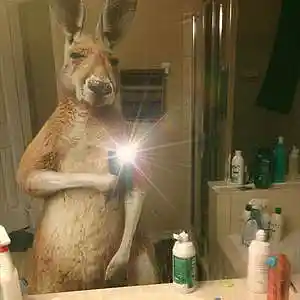 Picture for song 'CATCH (Buy 1 get 3 FREE)' by artist 'Jorginho B'