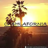 Picture for song 'CA$HLAFORNIA' by artist 'KEN CASH PROD'