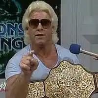 Picture for song 'Ric Flair Water Portal' by artist 'Milesg2g'