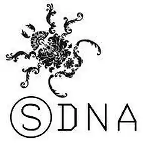 Picture for song 'SDNA: Jive Talkin'' by artist 'paul gorman and the hypnotist collectors'