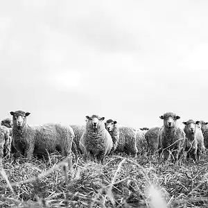 Picture for song 'Look At All The People' by artist 'Praise His Ways'