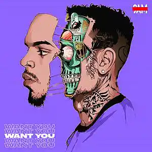 Picture for song 'I Want You - Chris Brown X Tory Lanez Type Beat' by artist 'Prod. by 9AM'