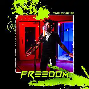 Picture for song 'NBA Youngboy x Rod Wave x Lil Durk Type Beat' by artist 'sange beats'