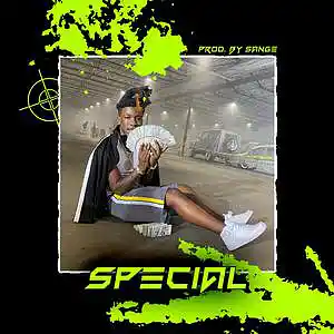 Picture for song 'Polo G x Li Tjay x Lil Durk Type Beat - Special' by artist 'sange beats'