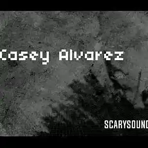 Picture for song 'Casey Alvarez' by artist 'ScarySoundBeatz'