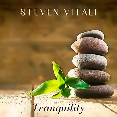 Picture for song 'Tranquility (the Single)' by artist 'Steven Vitali'
