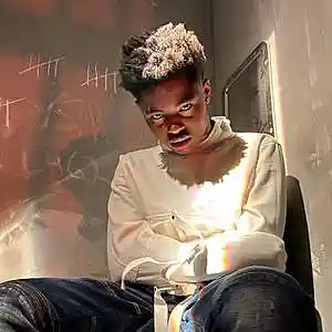 Picture for song 'ysn flow x toosii type beat - view guitar beat' by artist 'prod. tx'