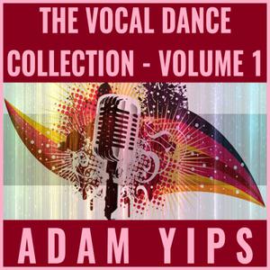 Picture for song 'You've Been So Bad' by artist 'Adam Yips'