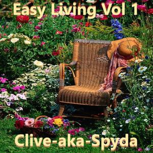 Picture for song 'A Different View (Vocal Downtempo)' by artist 'Clive G Beresford'