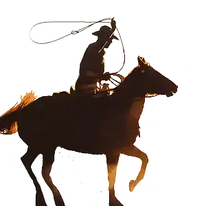 Picture for song 'The Outlaw REM' by artist '2uo7rax'