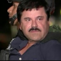 Picture for song '*New* El Chapo ' by artist '9Hun Made That'