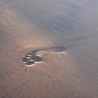 Picture for song 'A Step Outside' by artist 'AmR (US)'