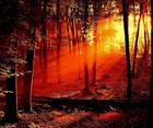 Picture for song 'Take You Away Remix' by artist 'Art and Life Records'