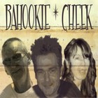 Picture for song 'Her Majestys Pleasure' by artist 'Bahookie Cheek'